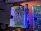Zoutwater aquarium incl. Vissen en techniek, Dieren en Toebehoren, Vissen | Aquaria en Toebehoren, Ophalen, Zo goed als nieuw