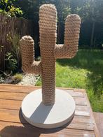 Krabpaal cactus, Ophalen of Verzenden, Krabpaal, Zo goed als nieuw