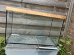 Glazen bak/terrarium, Dieren en Toebehoren, Ophalen, Gebruikt, 75 tot 110 cm, Minder dan 60 cm