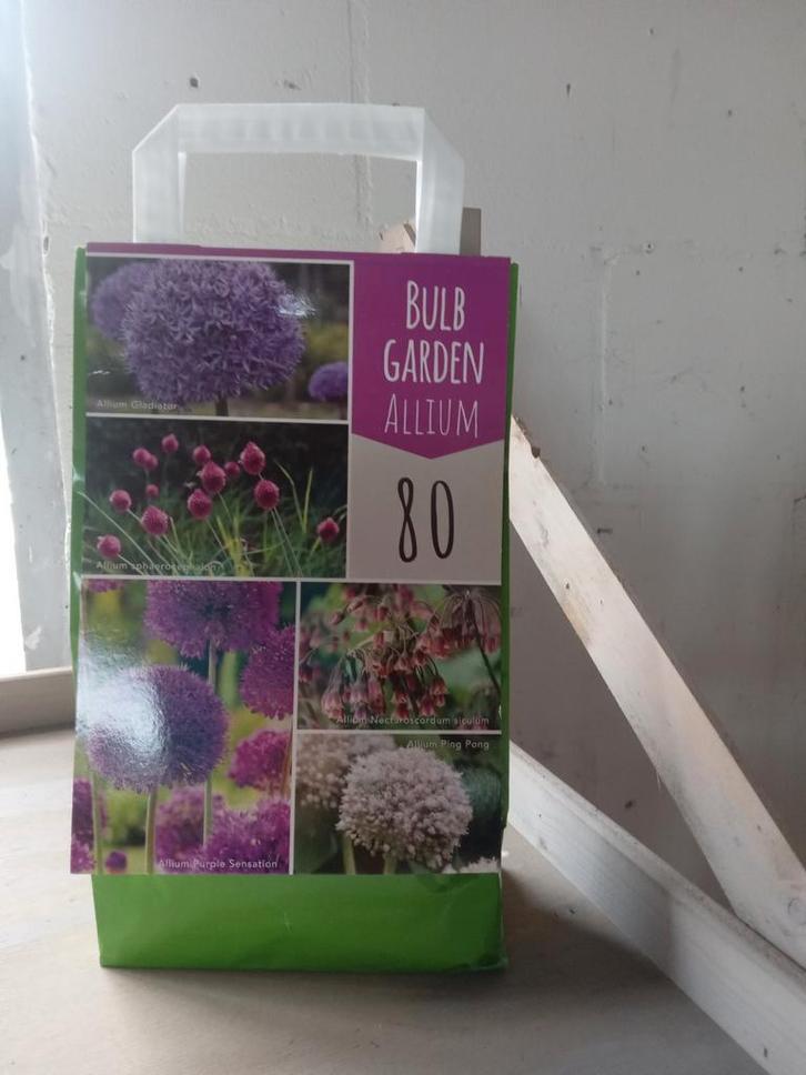 Allium Tas, Tuin en Terras, Bloembollen en Zaden, Volle zon, Ophalen of Verzenden