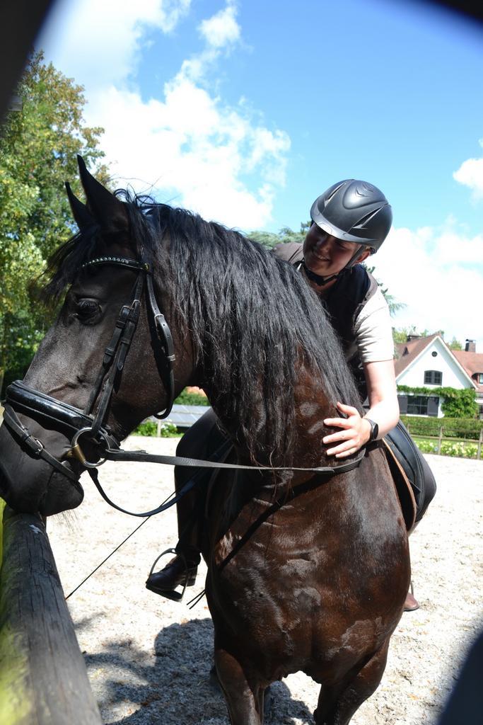 Enthousiaste Bijrijder / Verzorger aangeboden Groningen Stad, Dieren en Toebehoren, Paarden en Pony's | Overige Paardenspullen