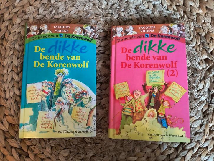 De bende van De Korenwolf /Jaques Vriens, Boeken, Kinderboeken | Jeugd | onder 10 jaar, Gelezen, Fictie algemeen, Ophalen of Verzenden