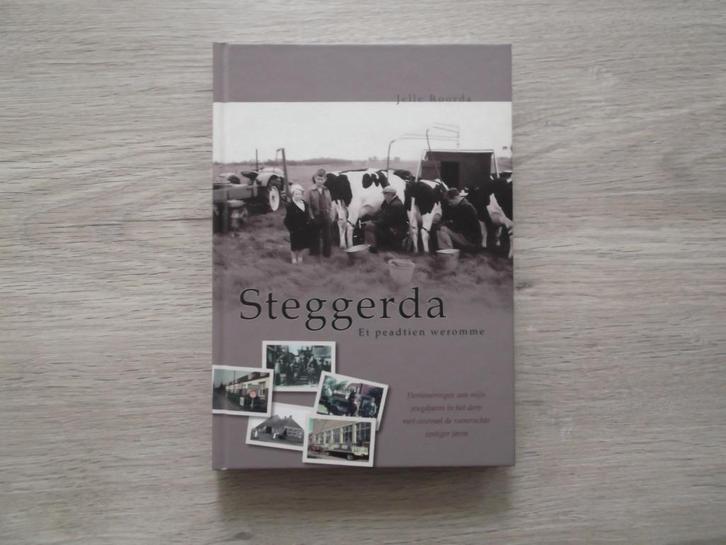 Steggerda. Et peadtien weromme. Wolvega. Stellingwerf., Boeken, Geschiedenis | Stad en Regio, Zo goed als nieuw, 20e eeuw of later
