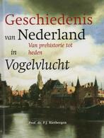 P.J. Rietbergen, Geschiedenis van Nederland in Vogelvlucht, Ophalen of Verzenden, Zo goed als nieuw