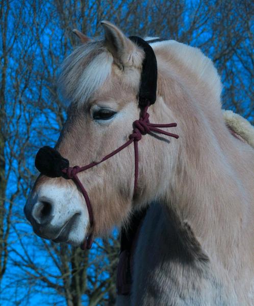 Kaptoom (full) en touwhalster met bont (cob), Dieren en Toebehoren, Paarden en Pony's | Hoofdstellen en Tuigage, Nieuw, Recreatie