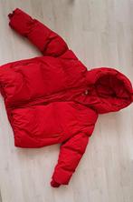Nieuw zara winterjas meisje rood 8-9 jaar maat 130, Kinderen en Baby's, Kinderkleding | Maat 176, Nieuw, Ophalen of Verzenden