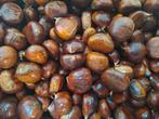 Tamme kastanjes, Ophalen of Verzenden