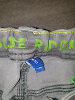Korte spijkerbroek /jeans /short maat 146 WE Slimfit, Kinderen en Baby's, Kinderkleding | Maat 146, Ophalen of Verzenden, Zo goed als nieuw