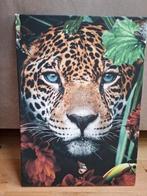 Canvas 50x70cm 'Leopard', Ophalen