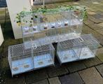 Italiaanse broedkooien, Dieren en Toebehoren, Vogels | Hokken en Kooien, Ophalen, Gebruikt, Metaal, Broedkooi of Kweekkooi