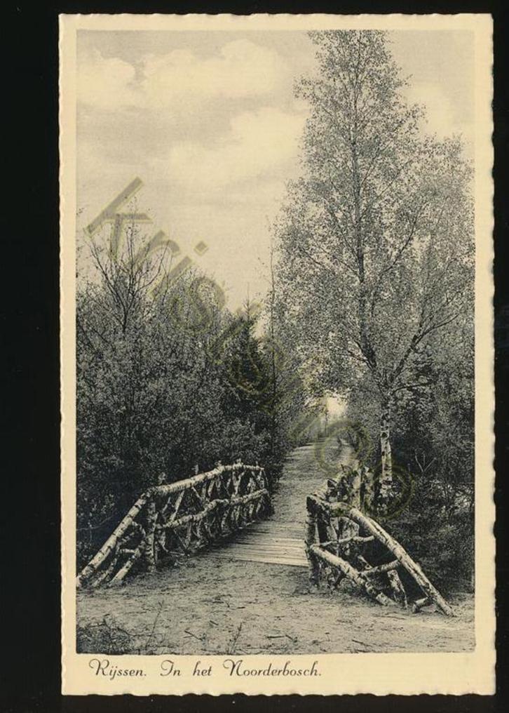 Rijssen - In het Noorderbosch [KRST009-1364, Verzamelen, Ansichtkaarten | Nederland, Gelopen, Noord-Holland, 1940 tot 1960, Verzenden