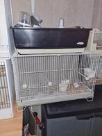 Vogelkooien, Dieren en Toebehoren, Vogels | Hokken en Kooien, Ophalen, Zo goed als nieuw, Hout, Vogelkooi