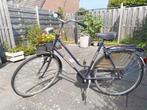 Perfecta Pointer - opknapfiets, 47 tot 50 cm, Ophalen, Gebruikt