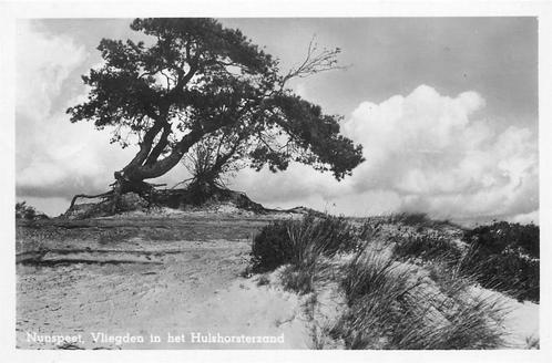 (387-166-031) Nunspeet Vliegden in het Hulshorsterzand, Verzamelen, Ansichtkaarten | Nederland, Gelderland, Verzenden