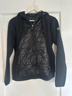 Dressage Pro Zwarte Jas - Maat L - Nieuw!, Kleding | Dames, Jassen | Zomer, Ophalen of Verzenden, Nieuw, Maat 42/44 (L), Zwart