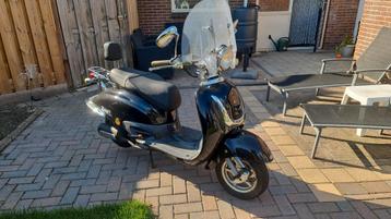 Killerbee Custom - Opknapper beschikbaar voor biedingen