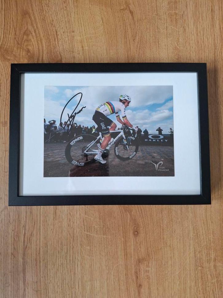 Gesigneerde foto Tadej Pogacar, Antiek en Kunst, Kunst | Tekeningen en Foto's, Ophalen of Verzenden