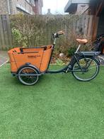 Babboe Curve Bakfiets Elektrisch, Fietsen en Brommers, 4 kinderen of meer, Gebruikt, Elektrisch, Ophalen