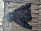 Elvine winterjas maat L, Kleding | Dames, Jassen | Winter, Ophalen of Verzenden, Zo goed als nieuw, Zwart