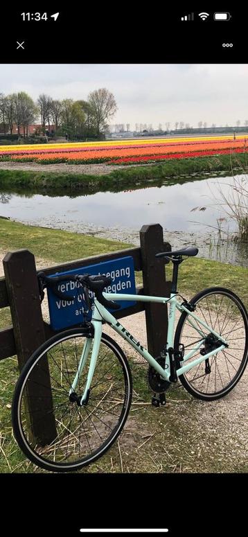 Trek Domane WSD beschikbaar voor biedingen