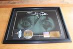 Staind - USA RIAA Certified Gold CD Award - very large, Ophalen of Verzenden, Gebruikt, Cd of Plaat