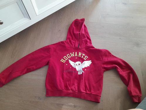 Zgan Wizarding world tm Harry Potter capuchon trui 146/152, Kinderen en Baby's, Kinderkleding | Maat 146, Zo goed als nieuw, Jongen of Meisje