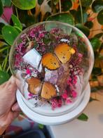 Vlinders in stolp - Butterfliesbyfaaijtje, Huis en Inrichting, Ophalen of Verzenden, Nieuw
