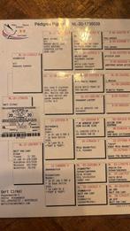 Koppel witte postduiven, Dieren en Toebehoren, Vogels | Duiven, Meerdere dieren, Postduif