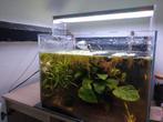 Aquarium ila optic white 45*35*35, Dieren en Toebehoren, Vissen | Aquaria en Toebehoren, Ophalen of Verzenden, Zo goed als nieuw