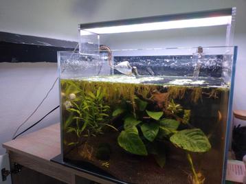 Aquarium ila optic white 45*35*35 beschikbaar voor biedingen
