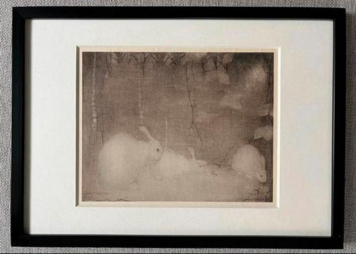 Jn Mankes 1889-1920 / Heliogr. Konijntjes in Herfstbos 1923, Antiek en Kunst, Kunst | Etsen en Gravures, Ophalen of Verzenden