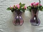 Roze en paarse vazen met droogbloemen, Overige kleuren, Ophalen of Verzenden, Minder dan 50 cm, Glas