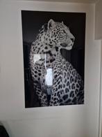 Glas schilderij panter, Ophalen of Verzenden