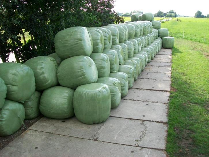 Paardenhooi/rondebalen/hooibalen/midibalen/voordroog gras., Dieren en Toebehoren, Stalling en Weidegang, Opfok, Stalling, Weidegang