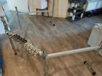 Pearl DR-503 4-zijdig + klemmen + hardcase, Ophalen, Zo goed als nieuw, Pearl