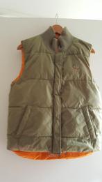 body warmer, Ophalen of Verzenden, Zo goed als nieuw, Jongen of Meisje, Jas