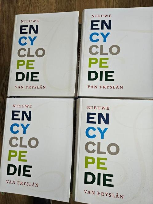 Nieuwe Encyclopedie van Fryslan 2016, Bornmeer, Boeken, Geschiedenis | Stad en Regio, Nieuw, 20e eeuw of later, Ophalen of Verzenden
