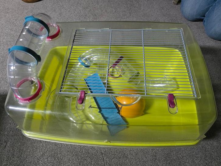 Hamsterkooi, Dieren en Toebehoren, Knaagdieren en Konijnen | Hokken en Kooien, Gebruikt, Kooi, Minder dan 60 cm, Minder dan 75 cm