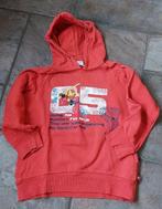 Lego ninjago hoodie maat 128, Ophalen of Verzenden, Zo goed als nieuw, Jongen, Trui of Vest