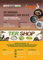 Naturaria Exoknaag Fair Antwerpen 09-11-2025, Dieren en Toebehoren, November, Meerdere dieren