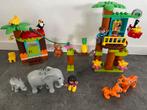 Duplo Tropisch Eiland 10906, Ophalen of Verzenden, Zo goed als nieuw, Complete set, Duplo
