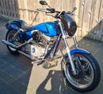 Harley Davidson custom zelfbouw 2004 special paint eigenbouw, 2 cilinders, Chopper, Particulier, 1200 cc