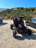 Carter brother interceptor gtr 250 ( in super staat), 1 cilinder, 250 cc, 12 t/m 35 kW