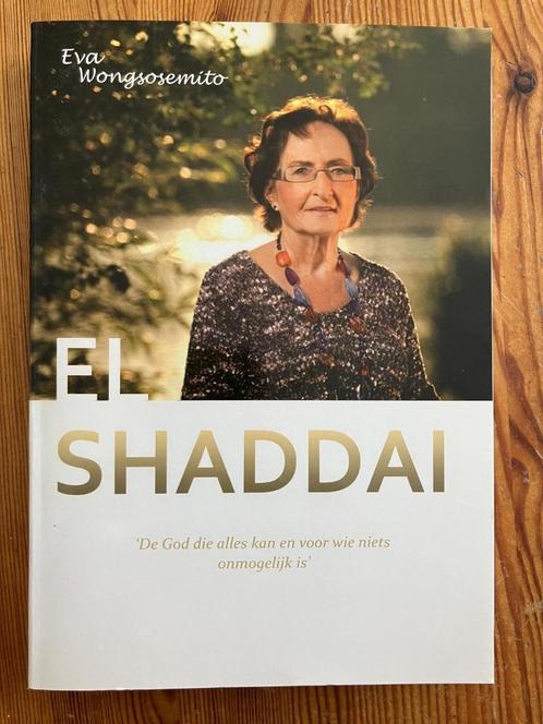 El Shaddai - de God die alles kan en ... - Eva Wongsosemito, Boeken, Godsdienst en Theologie, Nieuw, Christendom | Protestants