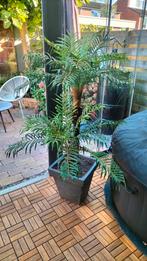 Kunst palmboom, 100 tot 250 cm, Zomer, Palmboom, Ophalen