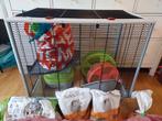 Zeer schone en nette tamme ratten kooi met complete uitzet!, Ophalen, Gebruikt, 60 tot 90 cm, 75 tot 110 cm