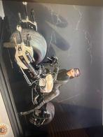 Hot Toys Catwoman & Bat-Pod met Vitrine, Verzamelen, Ophalen of Verzenden, Zo goed als nieuw, Overige soorten, Beeldje of Figuurtje