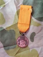 Juliana trouwe dienst mineratuur brons, Ophalen of Verzenden, Landmacht, Nederland, Lintje, Medaille of Wings