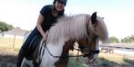 Training, zadelmak maken, begeleiding verkoop, paard, pony, Diensten en Vakmensen, Dieren | Paarden | Verzorging, Oppas en Les