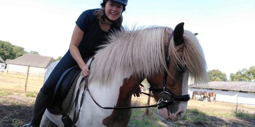 Training, zadelmak maken, begeleiding verkoop, paard, pony, Diensten en Vakmensen, Dieren | Paarden | Verzorging, Oppas en Les